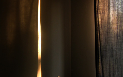 Medley_Website_1